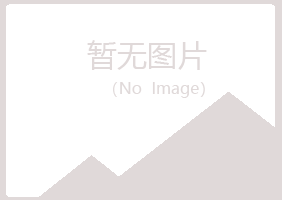 中山区沉沦水泥有限公司